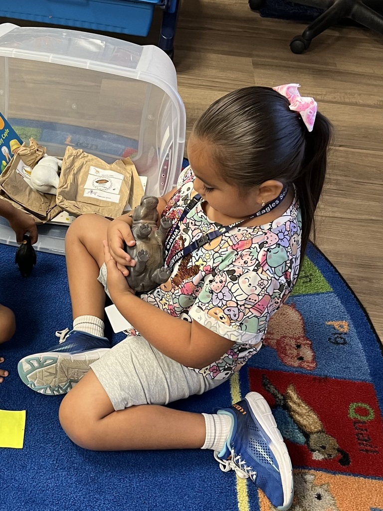 Taking care of stuffed animals