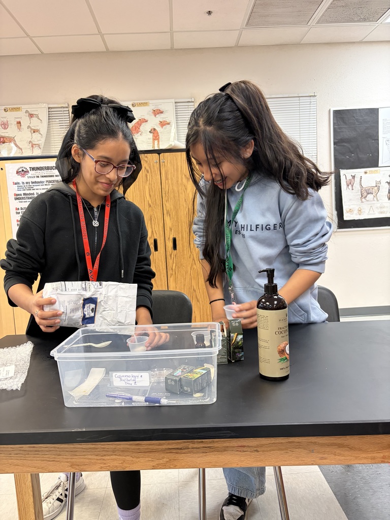 Education Foundation