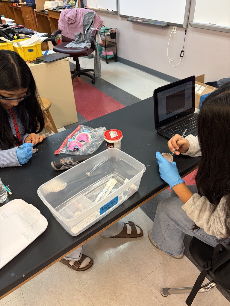 Education Foundation