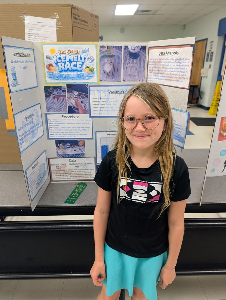 science fair project