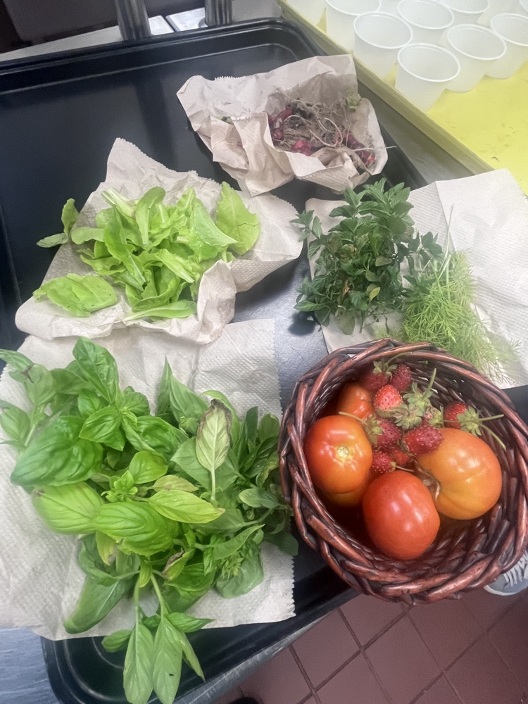 CGE garden produce
