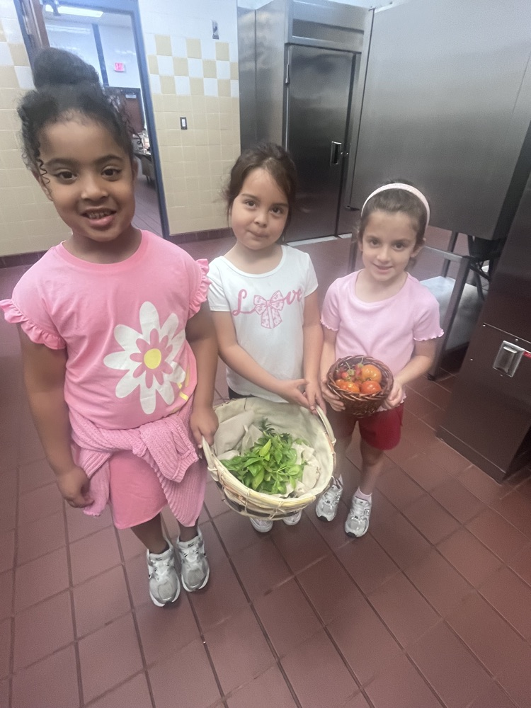Diamondbacks enjoying our garden produce