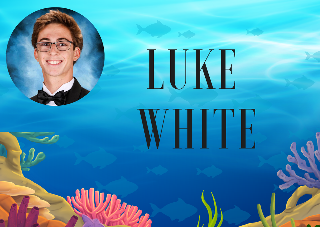 2026 Prom King - Luke White