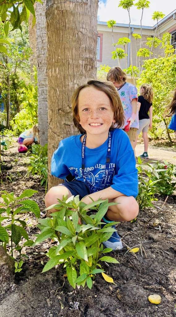 4H student at HSE planting milkweed in our garden