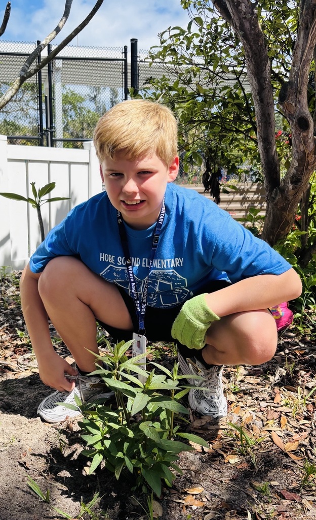4H student at HSE planting milkweed in our garden