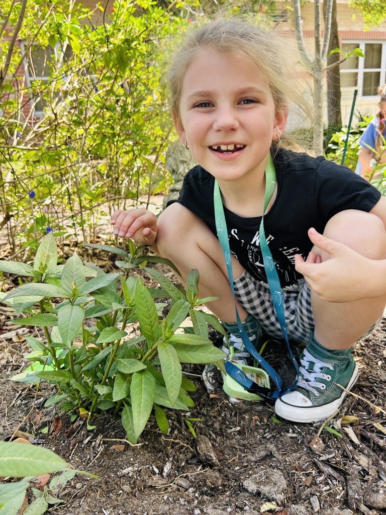 4H student at HSE planting milkweed in our garden