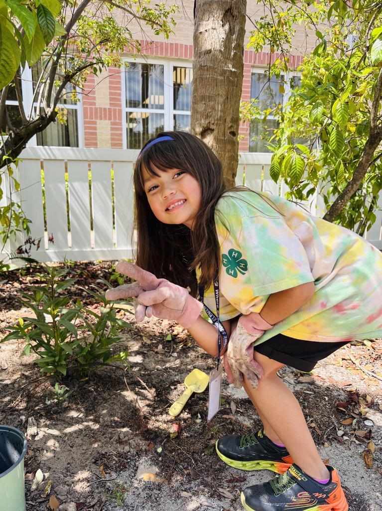 4H student at HSE planting milkweed in our garden