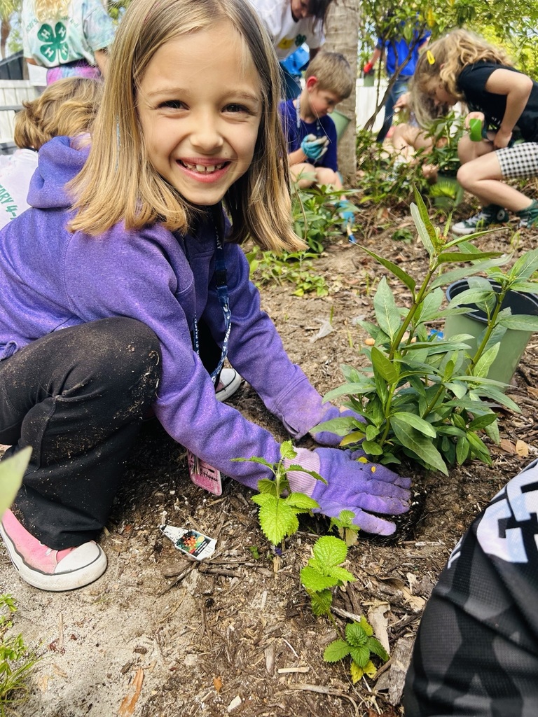 4H student at HSE planting milkweed in our garden