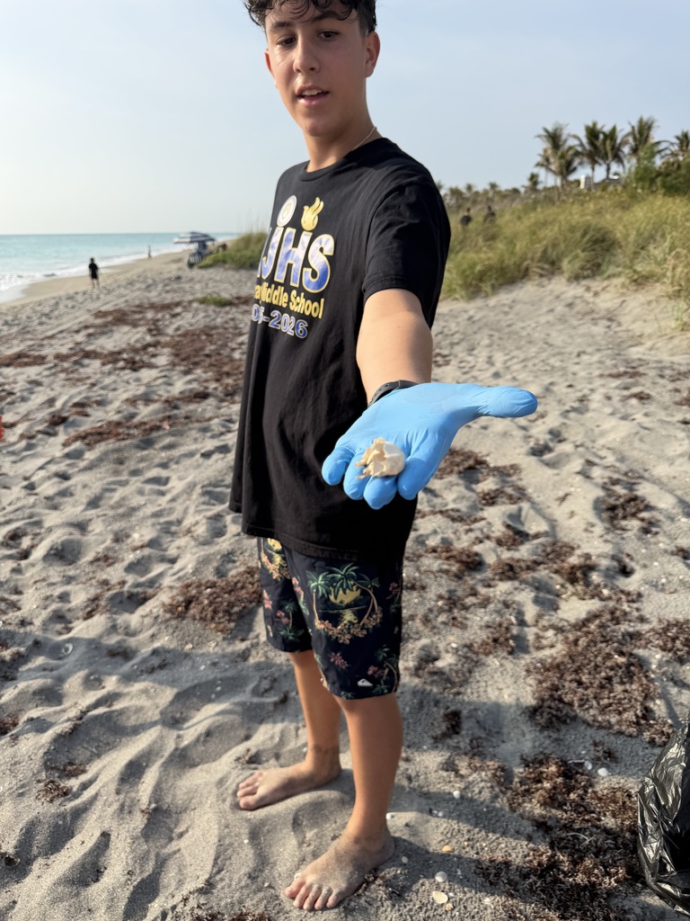 Finding debris on the beach