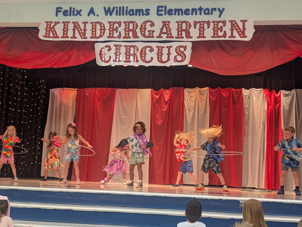 hula hoopers