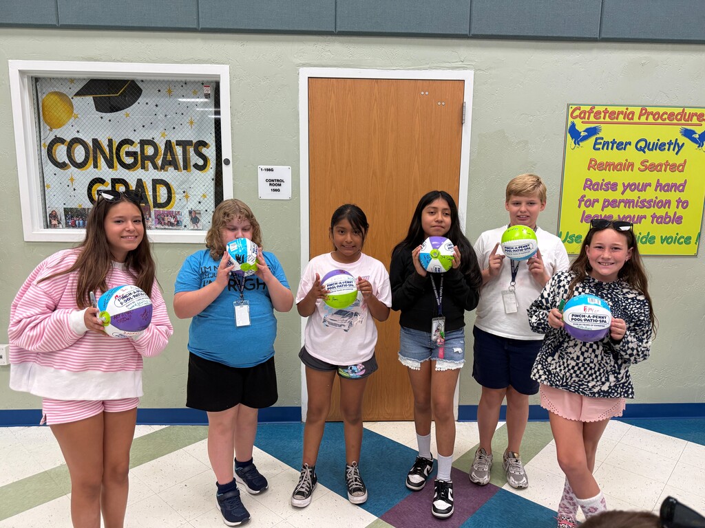 Pinch a Penny Beach Balls for all students