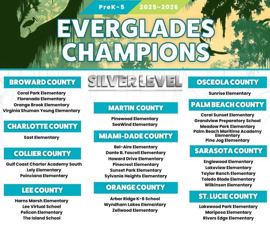 Silver Champion School