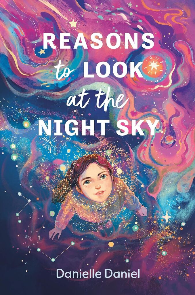 Cover of Reasons to look at the night sky
