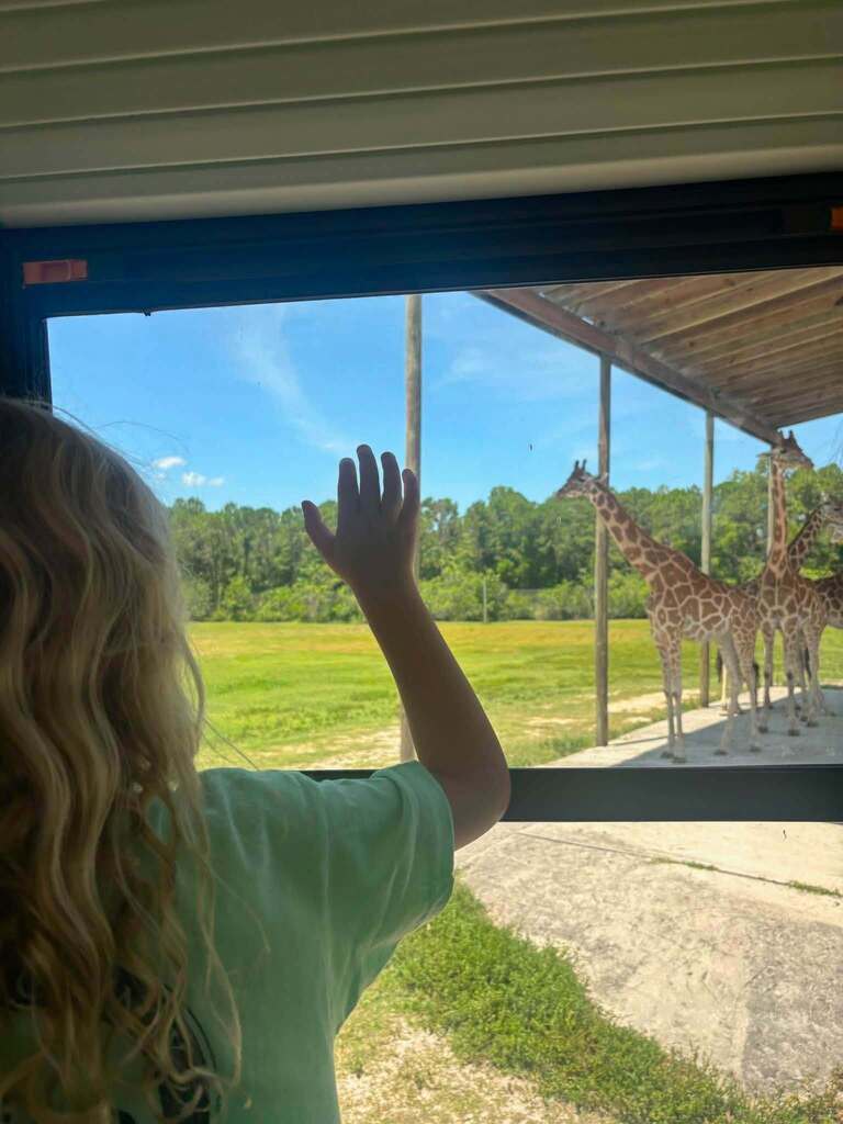 Fun at Lion Country Safari with PCE Extended Day Summer Camp kiddos