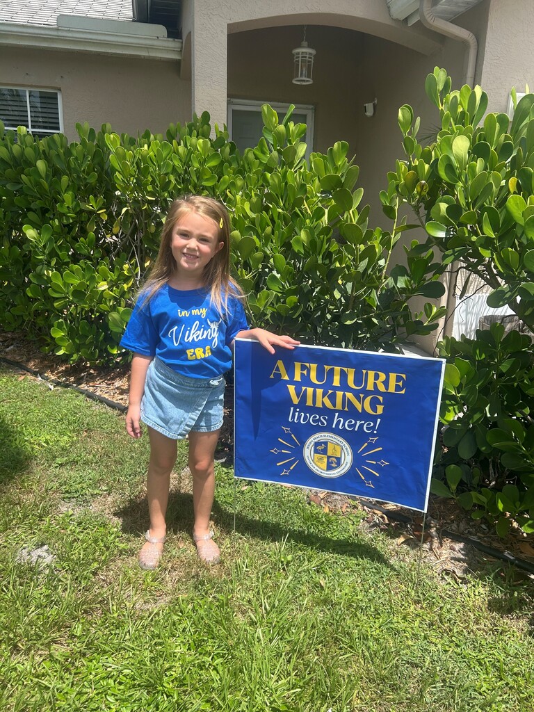 Future Viking