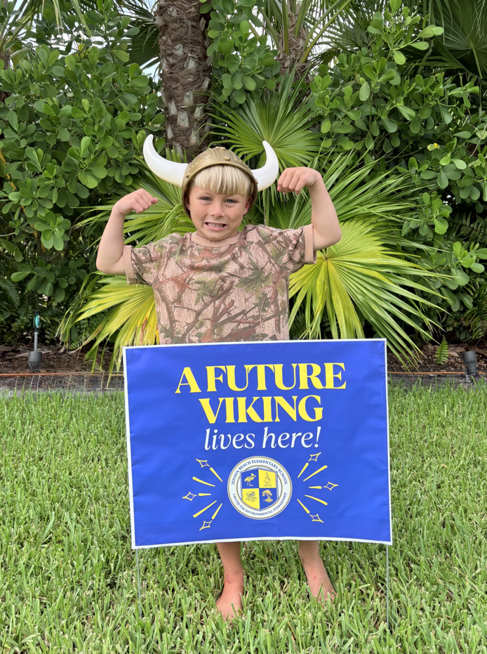 K Vikings
