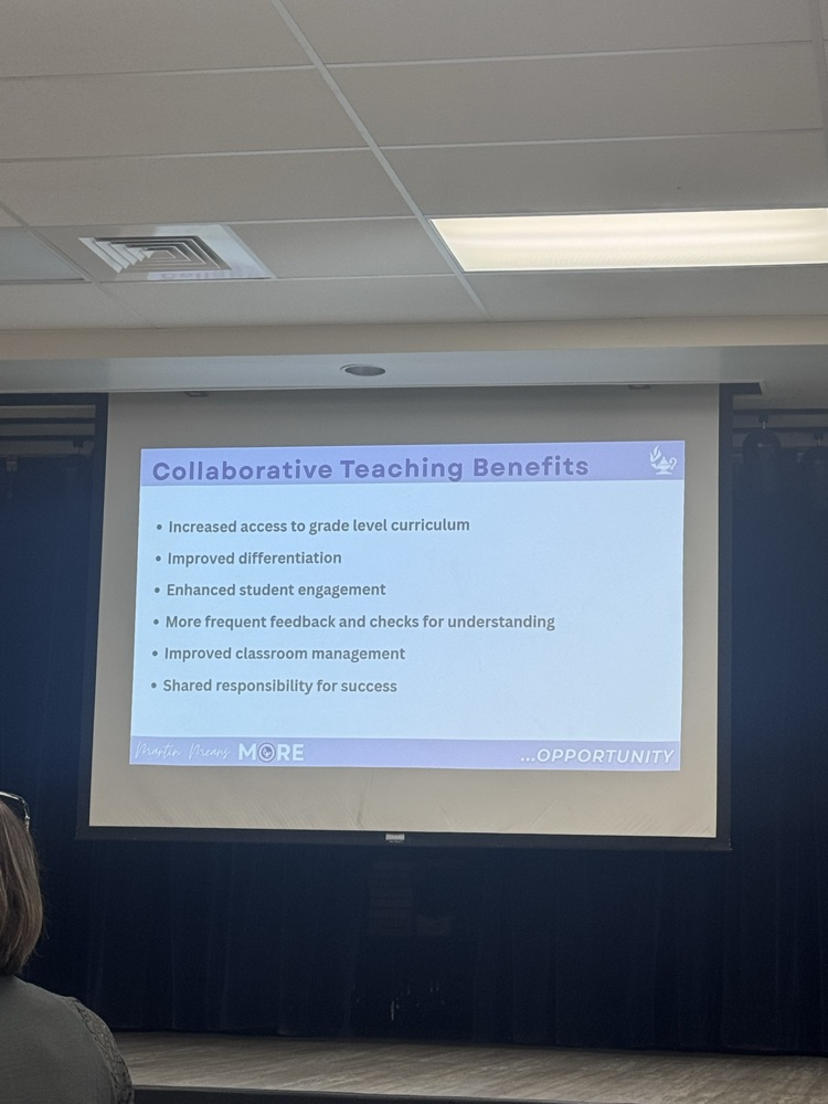 co teaching