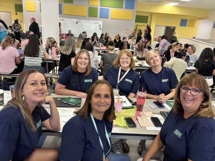 staff at professional learning