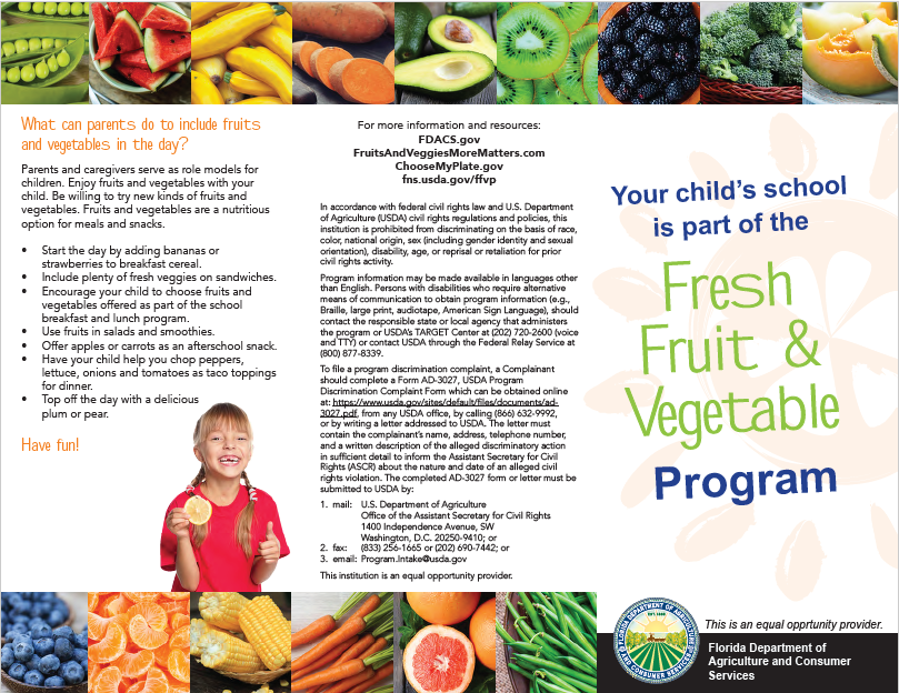FVVP Flyer p1