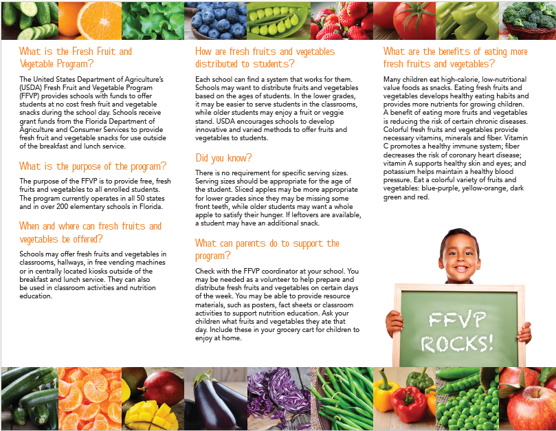 FVVP Flyer p2