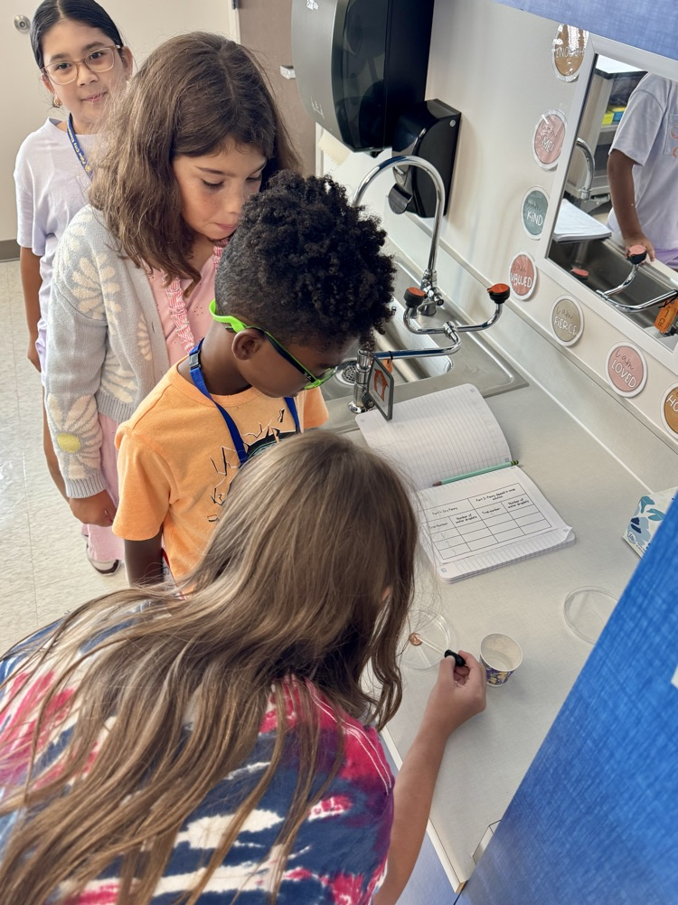 Penny Experiment 