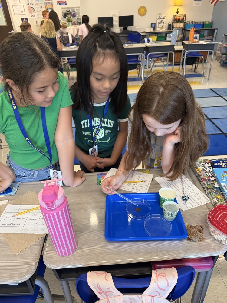 Penny Experiment 
