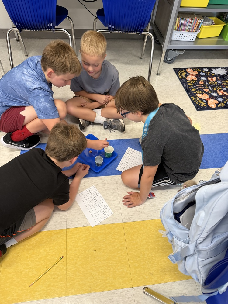 Penny Experiment 