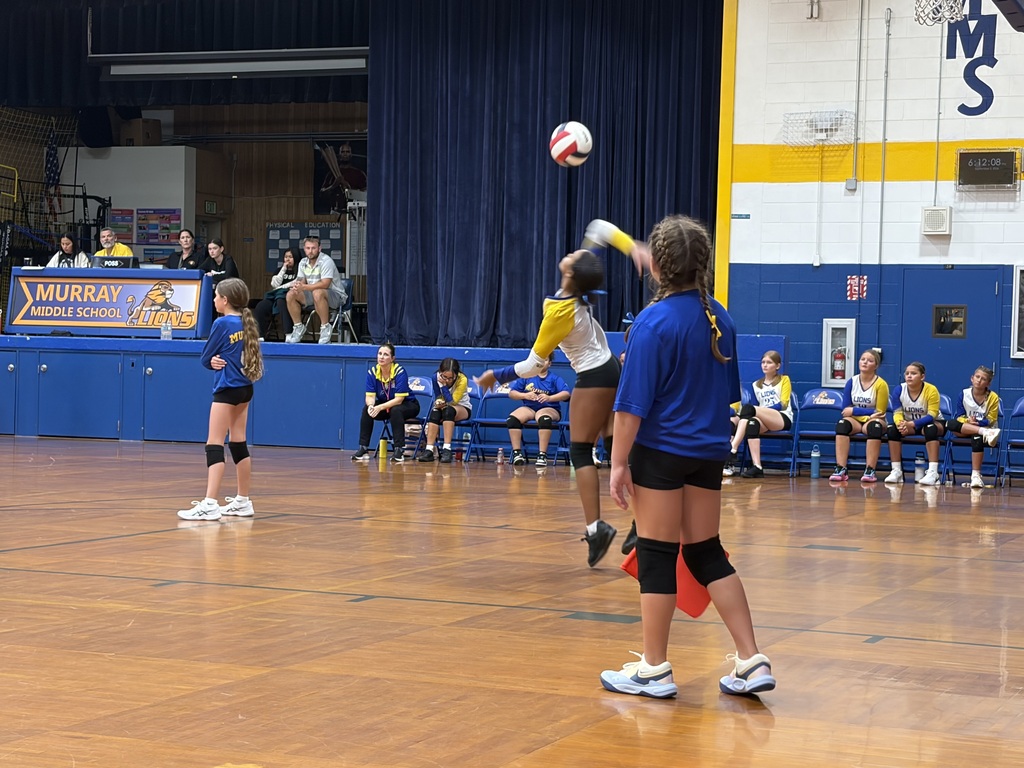 Volleyball Game