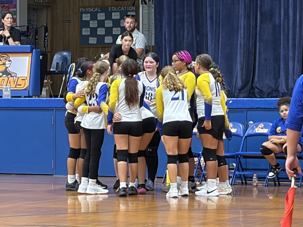 Volleyball Game