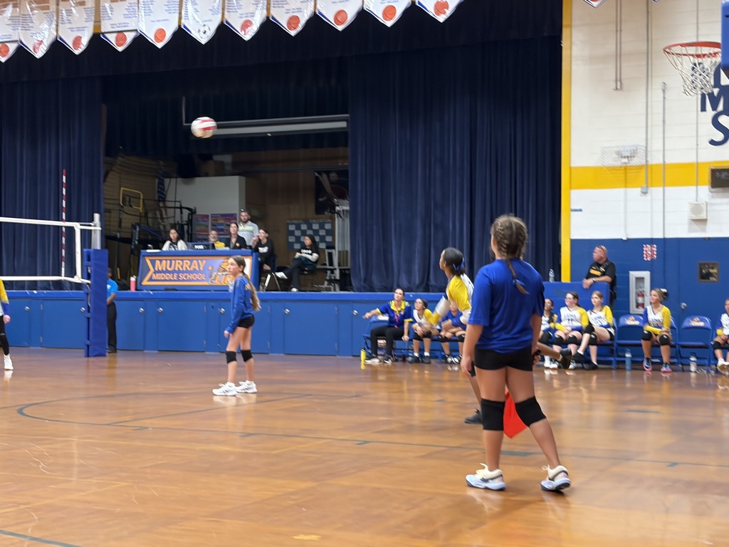 Volleyball Game