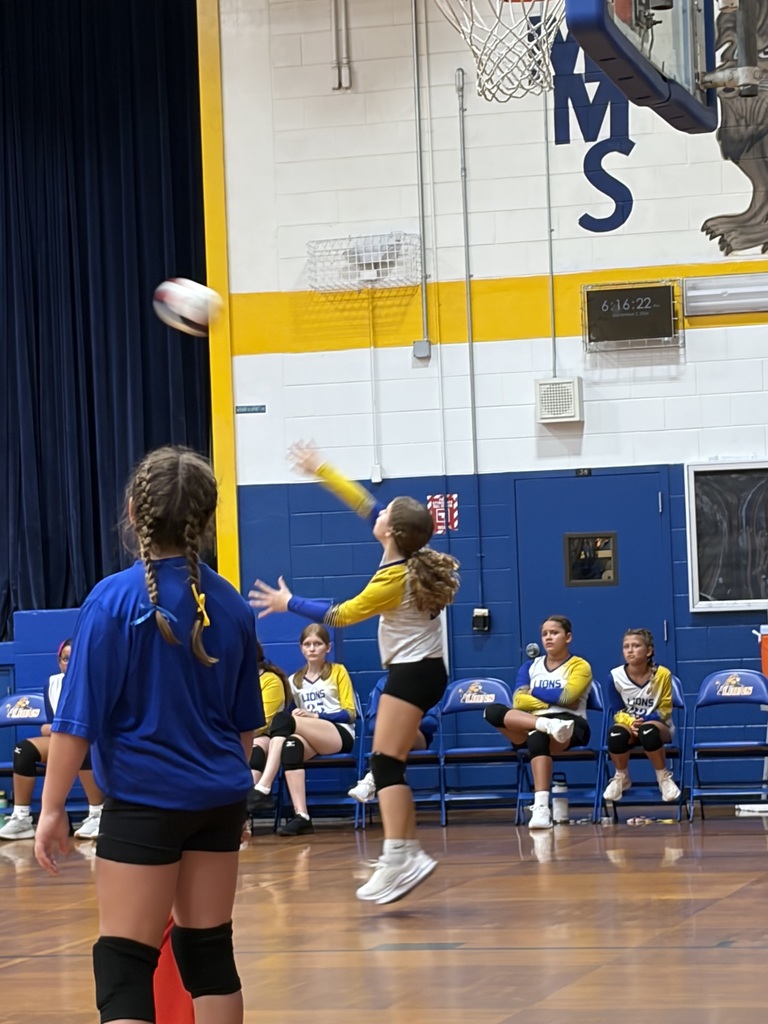 Volleyball Game