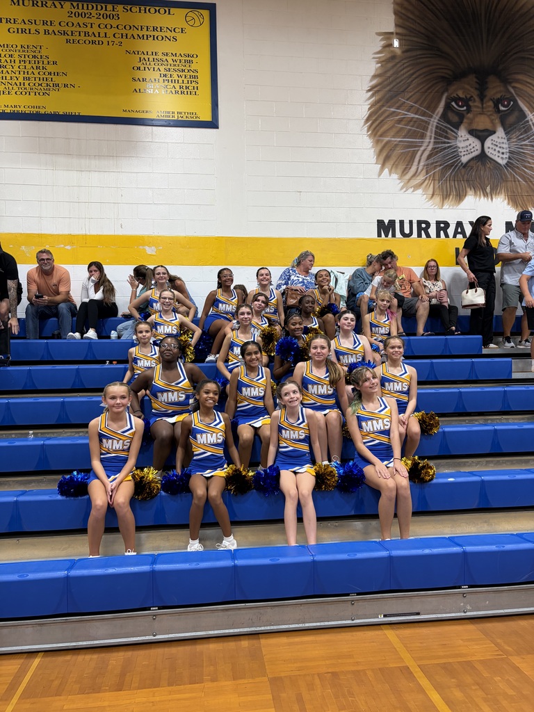 Volleyball Game