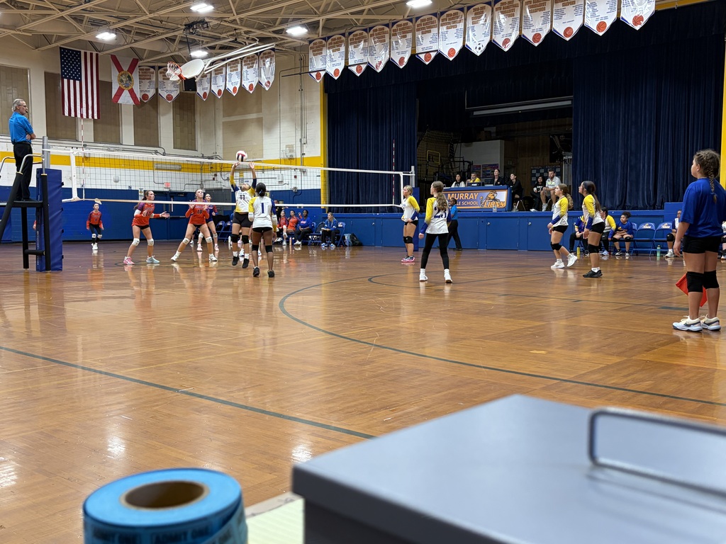 Volleyball Game