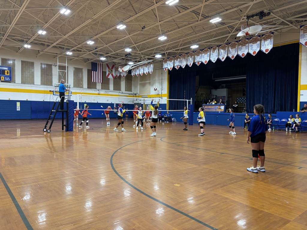 Volleyball Game