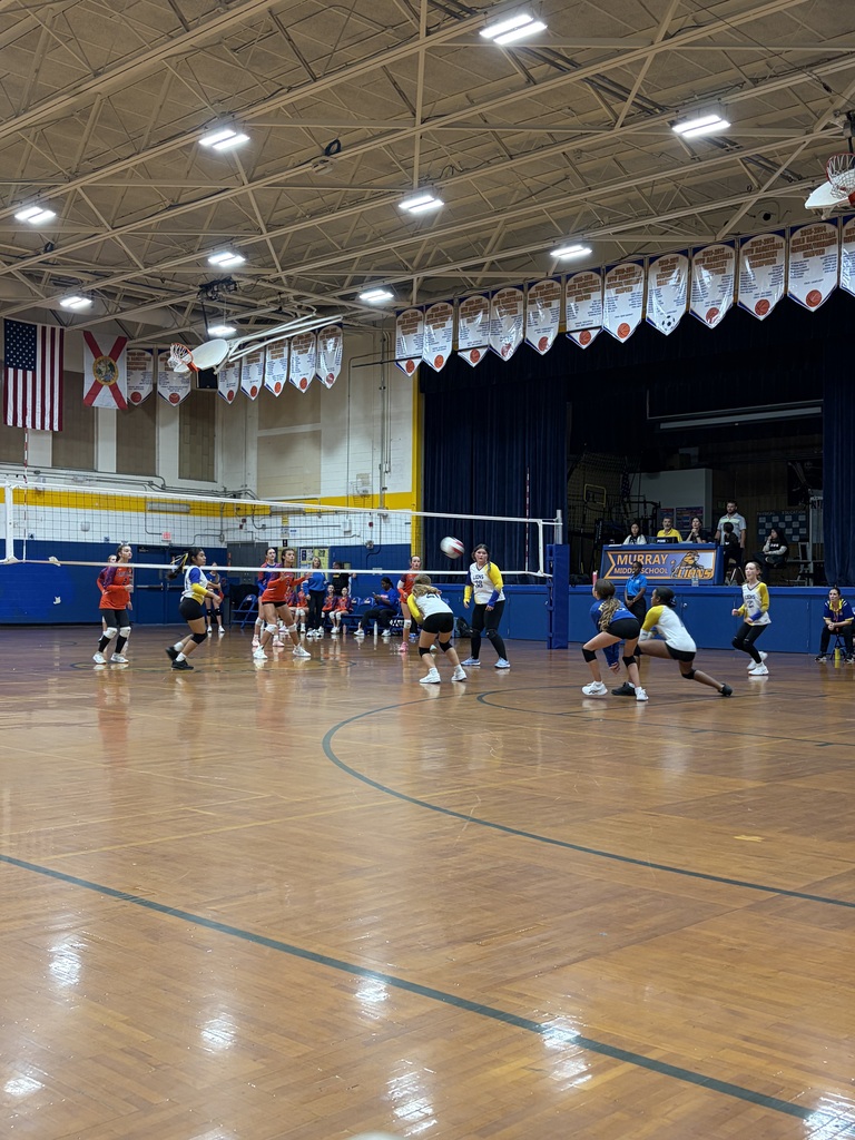 Volleyball Game