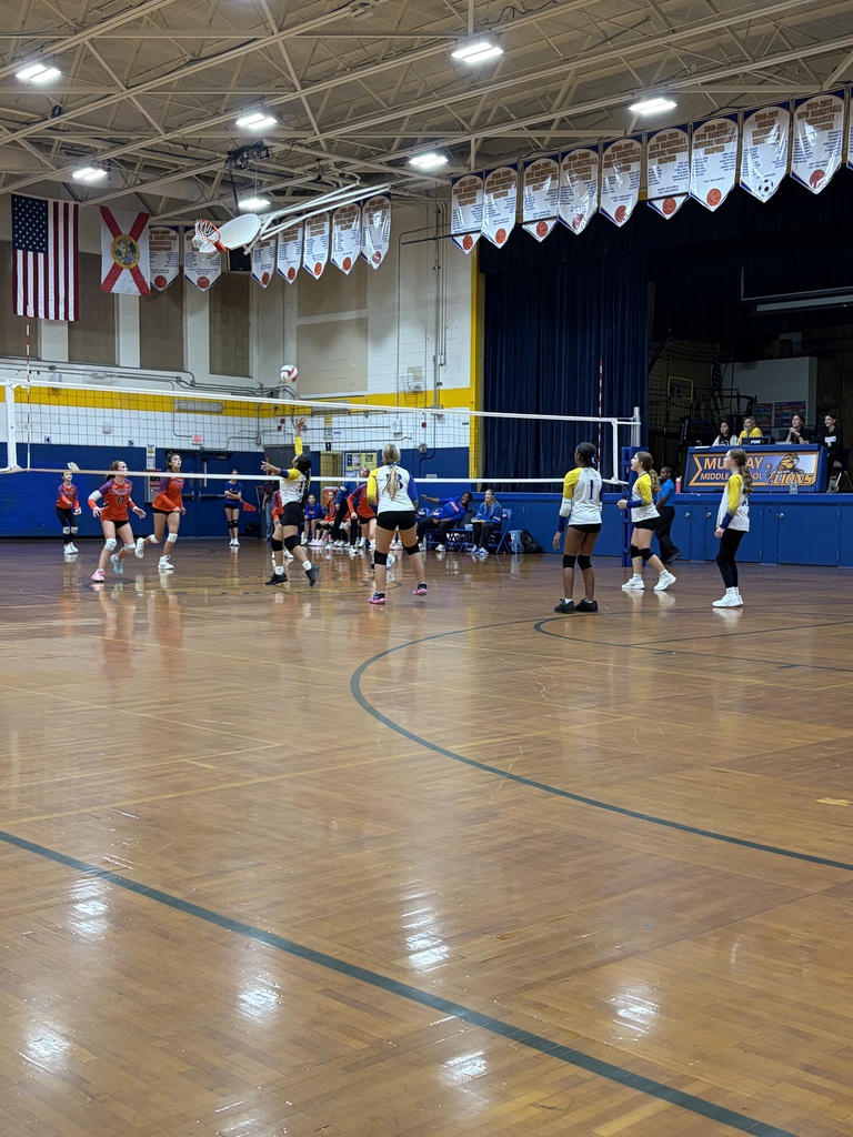 Volleyball Game