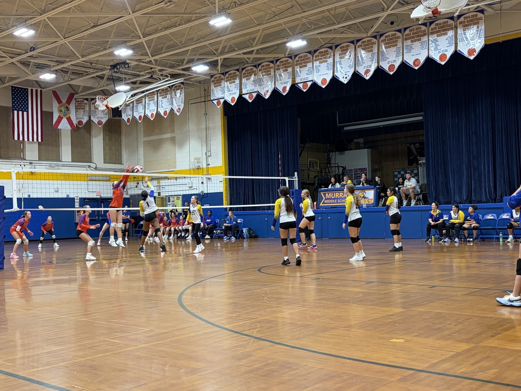 Volleyball Game