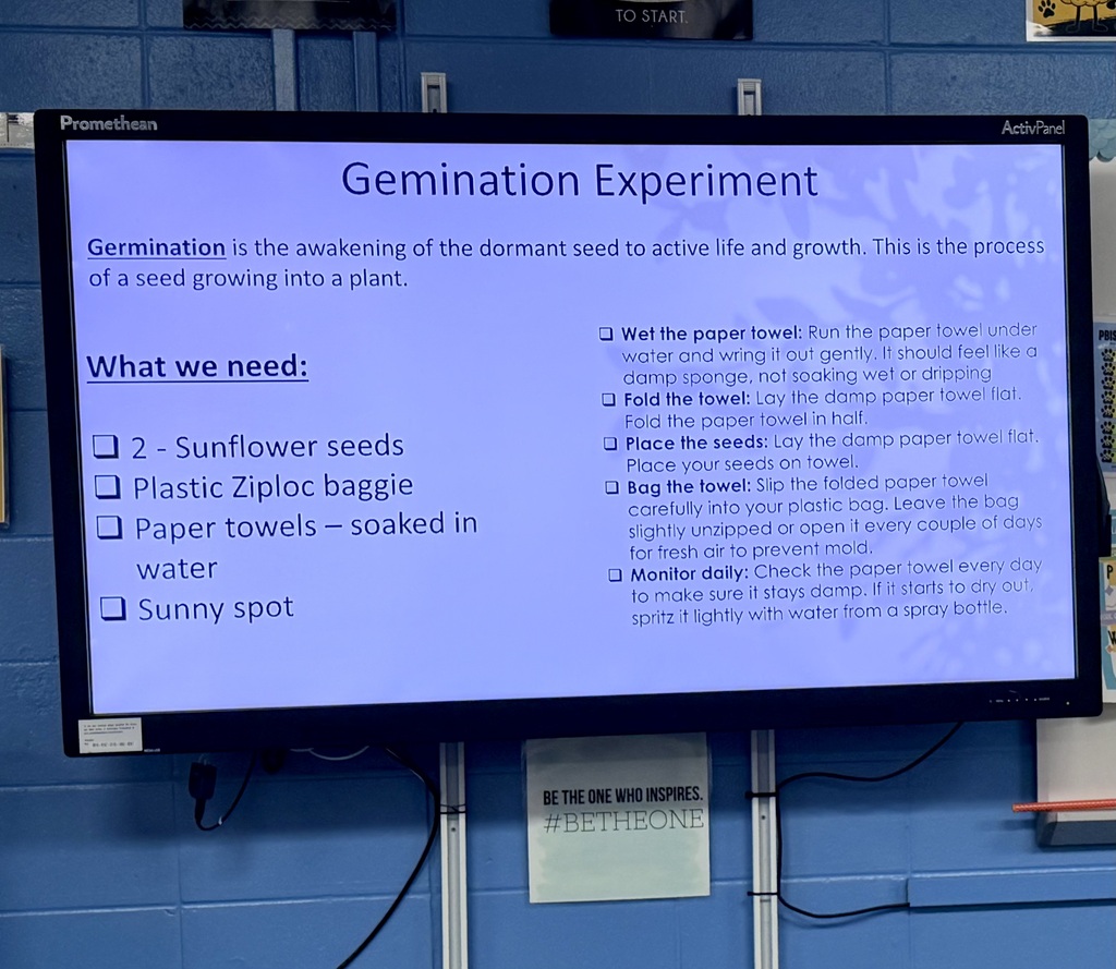 Germination1