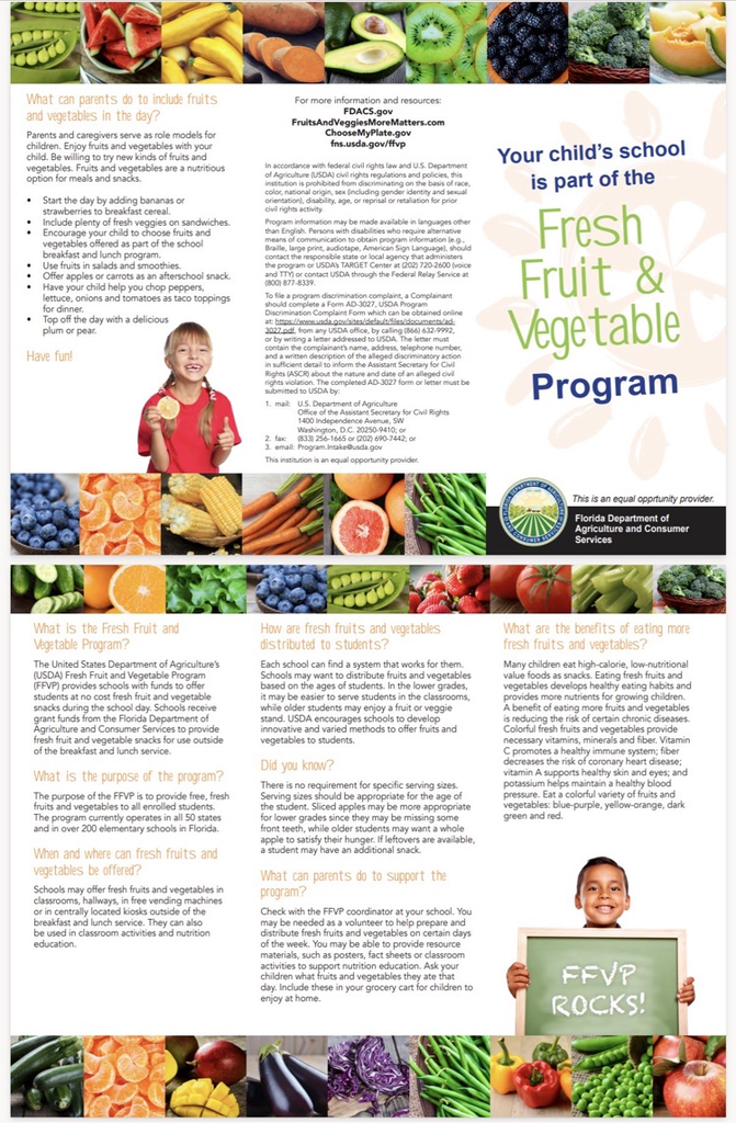 flyer