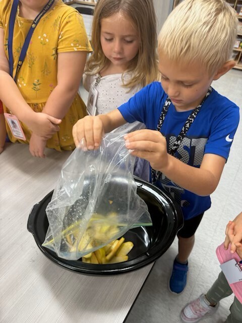 Kindergarten apples