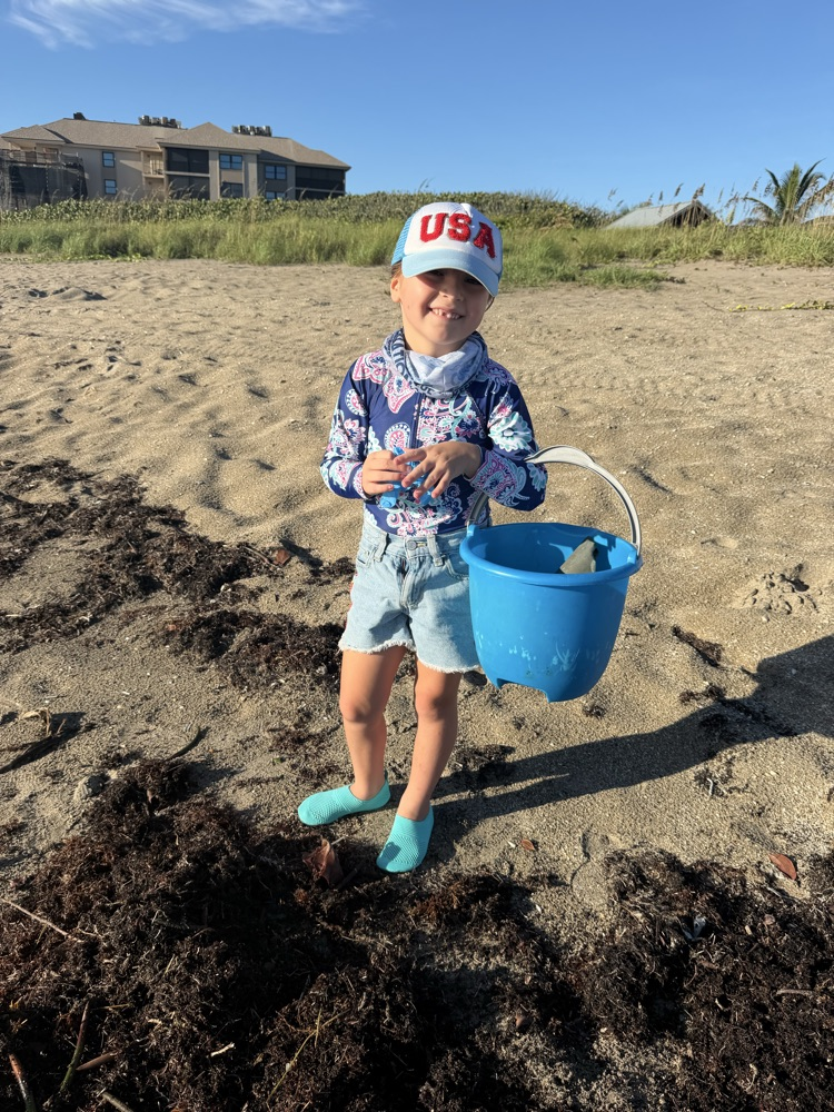 beach cleanup
