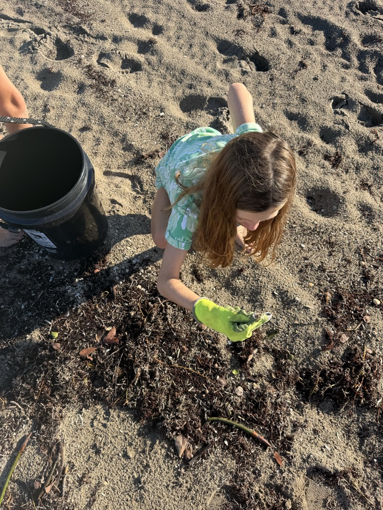 beach cleanup