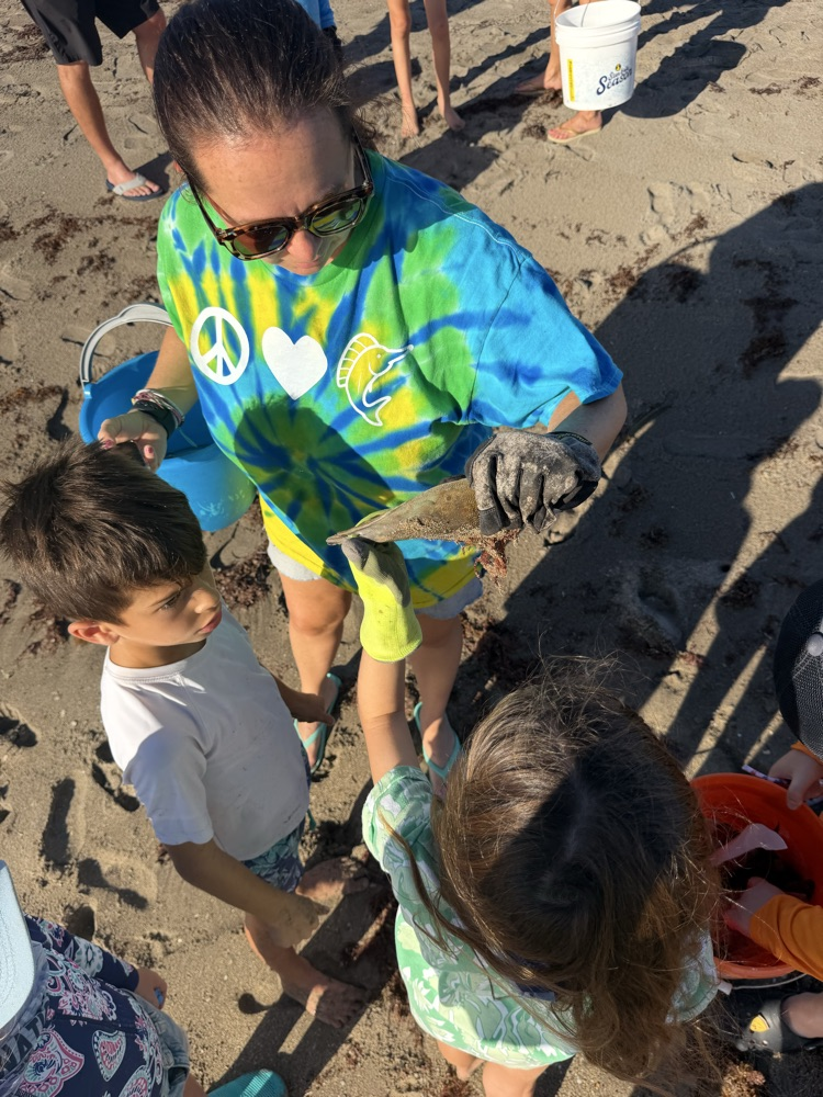 beach cleanup