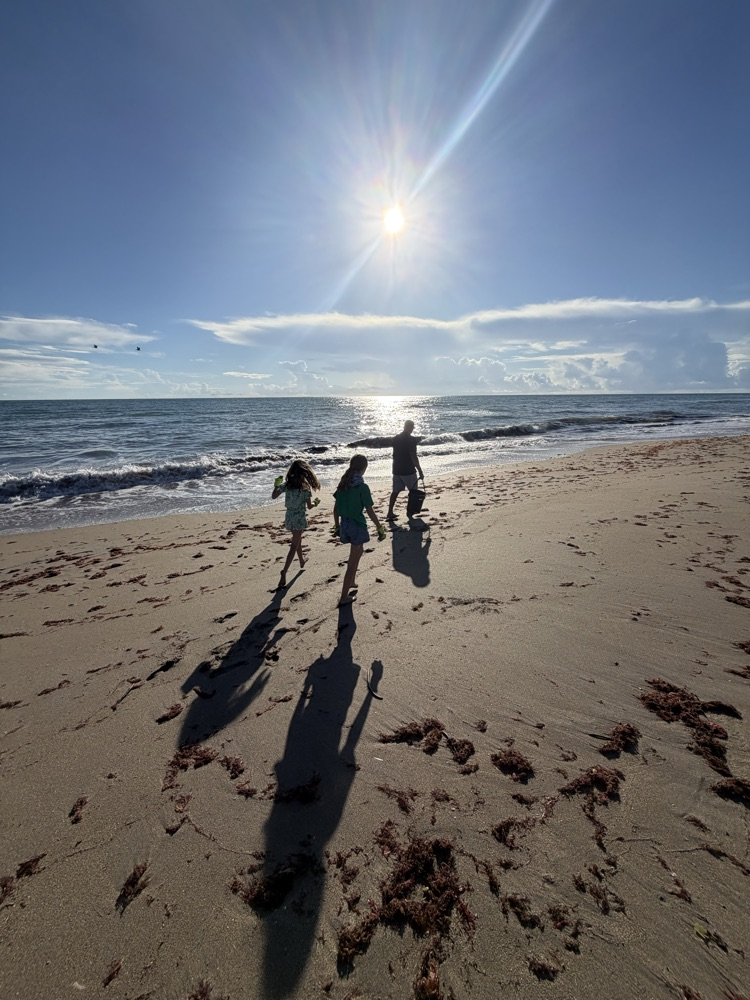 beach cleanup