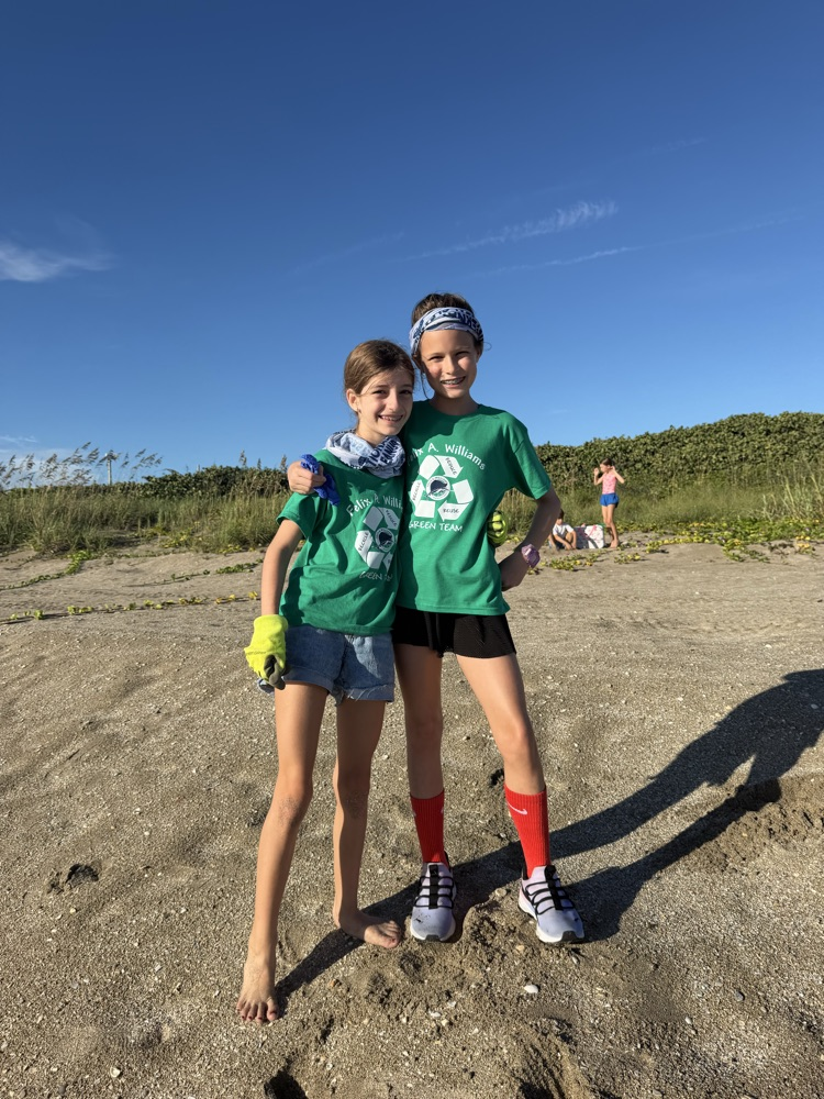 beach cleanup