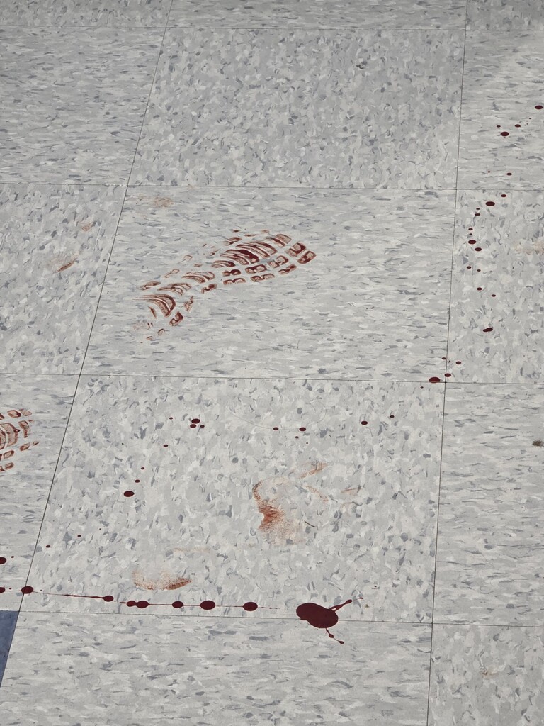 Following the Evidence in Forensics Class at MCHS
