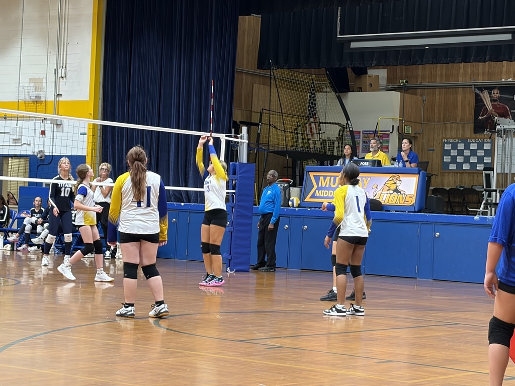 Volleyball game