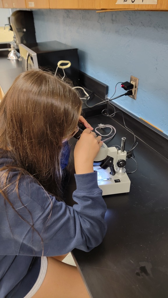 Microscope