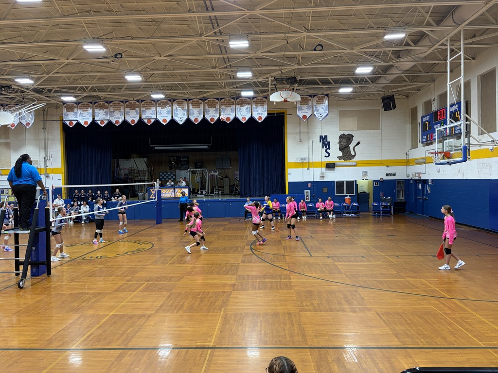 Volleyball