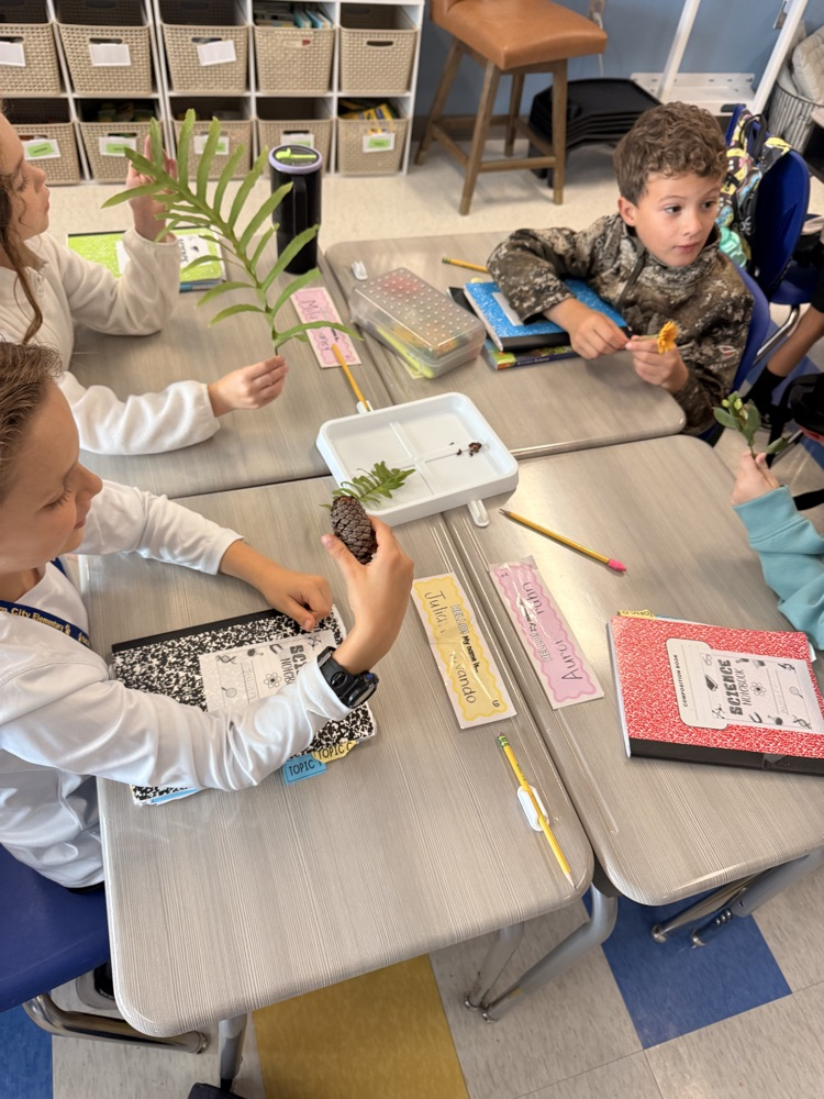Plant Dissection